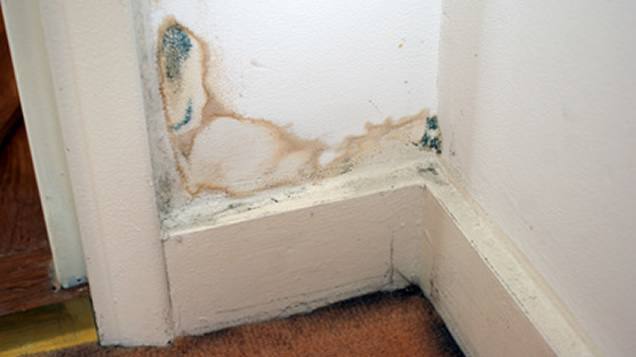 Comment lutter contre la moisissure sur vos murs ?