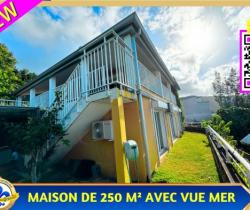 Maison / Villa Plus de 5 pièces  300 m ...