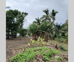 Terrains à bâtir  280 m2