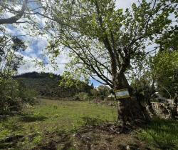 Terrains à bâtir  La Plaine Des Cafres