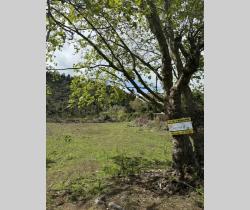 Terrains à bâtir  La Plaine Des Cafres